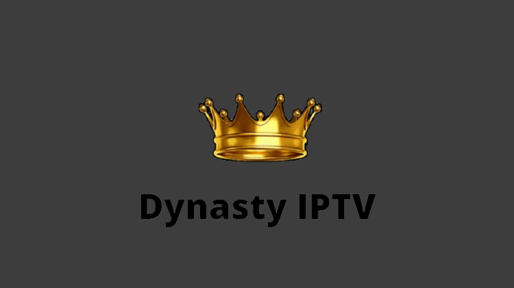 how-to-install-dynasty-iptv-on-shield-tv-24