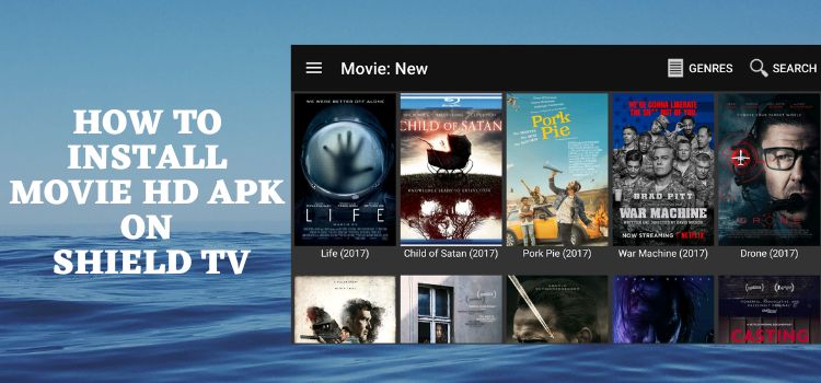 How-To-Install-Movie-HD-APK-On-Shield-TV